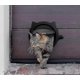 thumbnail image 1 of Puerta para gatos para mascotas Puerta para gatos - Para puertas interiores y puertas exteriores, 1 of 1