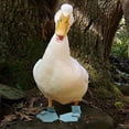 thumbnail image 2 of 1 par de zapatos de protección para patos, transpirables, cómodos, de tela, con punta abierta, zapatos para aves de corral, zapatos de ganso para hospital, pato para mascotas, violación, garra de pato, 2 of 4