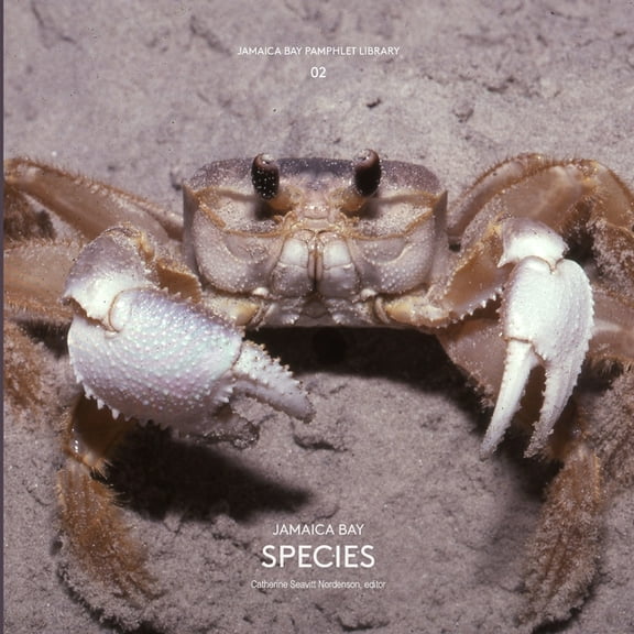 Jamaica Bay Pamphlet Library 02: Jamaica Bay Species (Paperback)