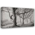 thumbnail image 1 of Vitaly Geyman 24x17 Gallery Wrapped Canvas Wall Art Titled - Tree in the Mist BandW, 1 of 4