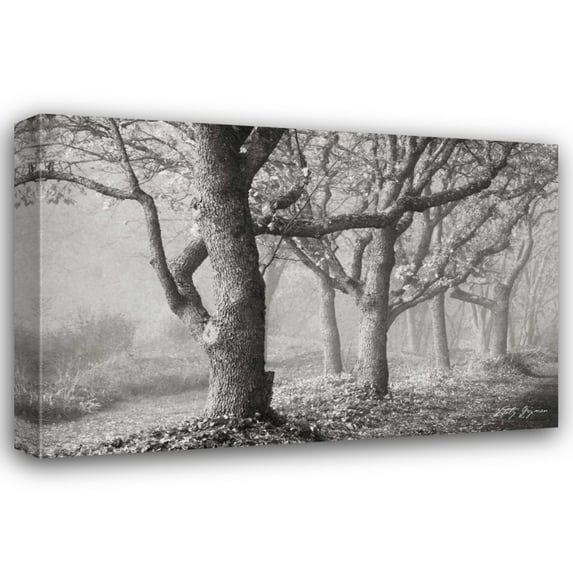 Vitaly Geyman 24x17 Gallery Wrapped Canvas Wall Art Titled - Tree in the Mist BandW