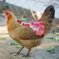 thumbnail image 2 of Dsscvnef Chicken Saddle Hen Apron Wing Back Protector Elastic Straps Feather Fixer Pet Clothes for Hens Poultry, 2 of 9