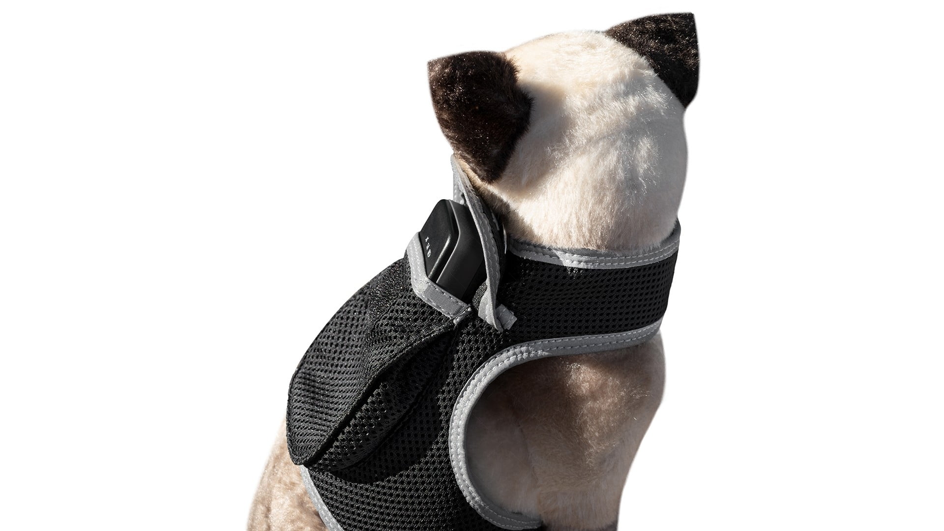 Mini Pet Tracker with Android iPhone Compatible Cat Dog GPS App System Size:XL