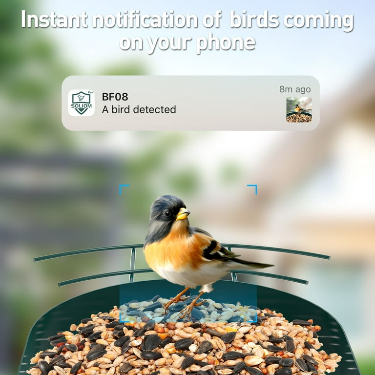 Osoeri Smart Bird Feeder with Camera, 1080P HD AI Identify Wild