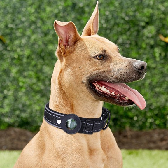 Airtag Dog Collar Cover with Nylon Tracking for Pet Positioning and Training