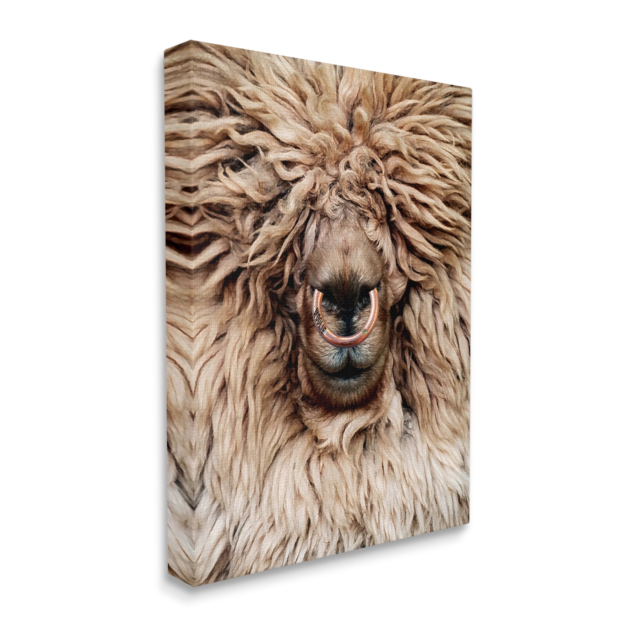 Stupell Industries Long Haired Sheep Portrait Animals & Insects Painting Gallery Wrapped Canvas Print Wall Art, 30 x 40