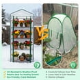 thumbnail image 5 of EAGLE PEAK Mini Greenhouse with Wire Shelves, Portable Green House with Roll-Up Zipper Door, 4 Tier, Clear/White PE Cover, 5 of 10