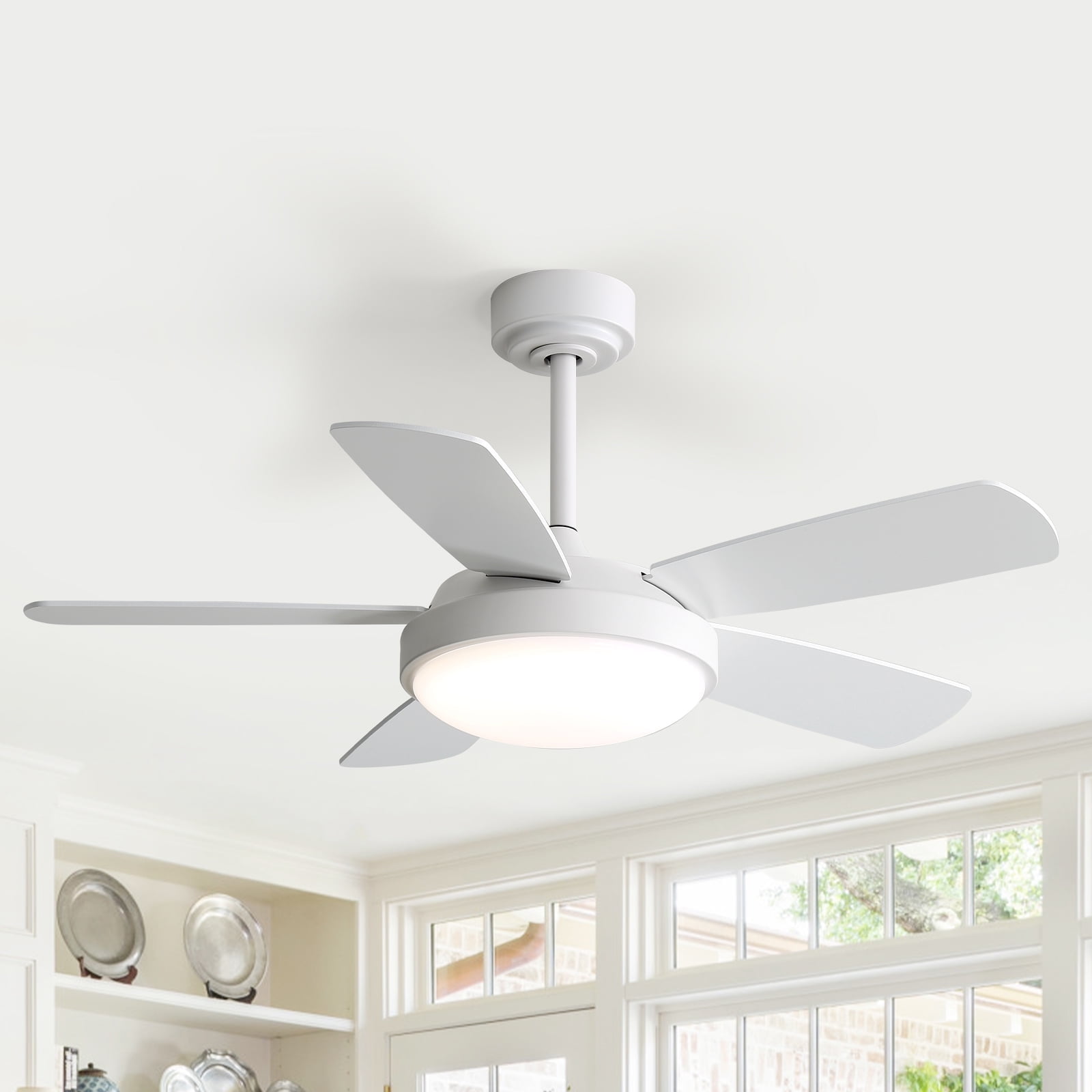 Sofucor Ceiling Fan 42 inch 5 Blade Modern Ceiling Fan With Light and Remote Control，White