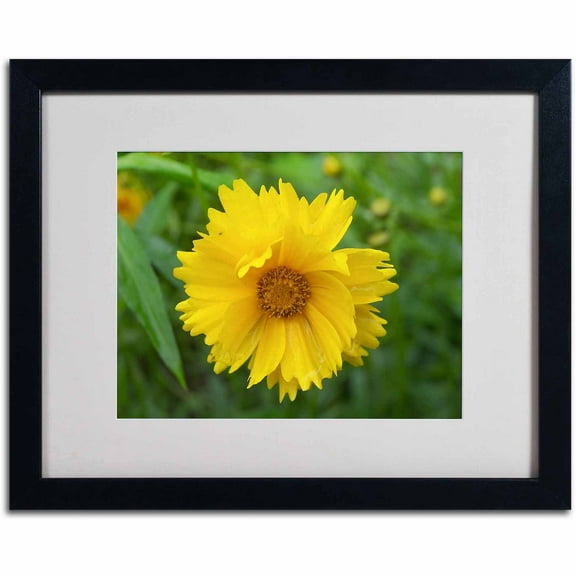 Trademark Fine Art "Purity" Canvas Art by Monica Fleet, White Matte, Black Frame