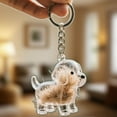 thumbnail image 3 of Dog Hair Collector Keychain Charm Memorial Storage Box, Pet Hair Memorial Keepsake, Transparent Cute Keychain, 3 of 8