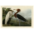 thumbnail image 2 of Audubon, John James 14x11 Gold Ornate Wood Framed with Double Matting Museum Art Print Titled - Purple Heron, 2 of 4