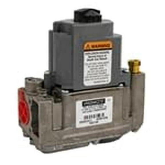 Raypak RAY014867F Gas Valve Natural-106A,156A