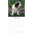 thumbnail image 3 of Saint Bernards 2025 Square Wall Calendar, 3 of 3
