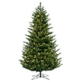 thumbnail image 6 of Vickerman 6.5' x 52" Welch Fraser Fir Artificial Christmas Tree with Warm White Dura-lit LED Lights, 6 of 6