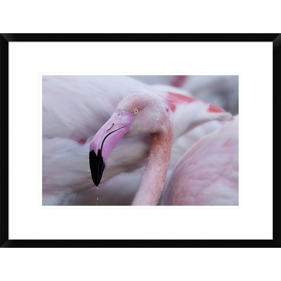 Global Gallery Martine Benezech 'Unique Mildness' Framed Wall Art