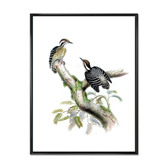 Designart 'Ancient Birds In The Wild VIII' Traditional Framed Canvas Wall Art Print