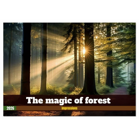 The magic of forest - impressions (Monthly Wall Calendar 2026 11.7 x 16.5 (open)), CALVENDO 14 Month Calendar
