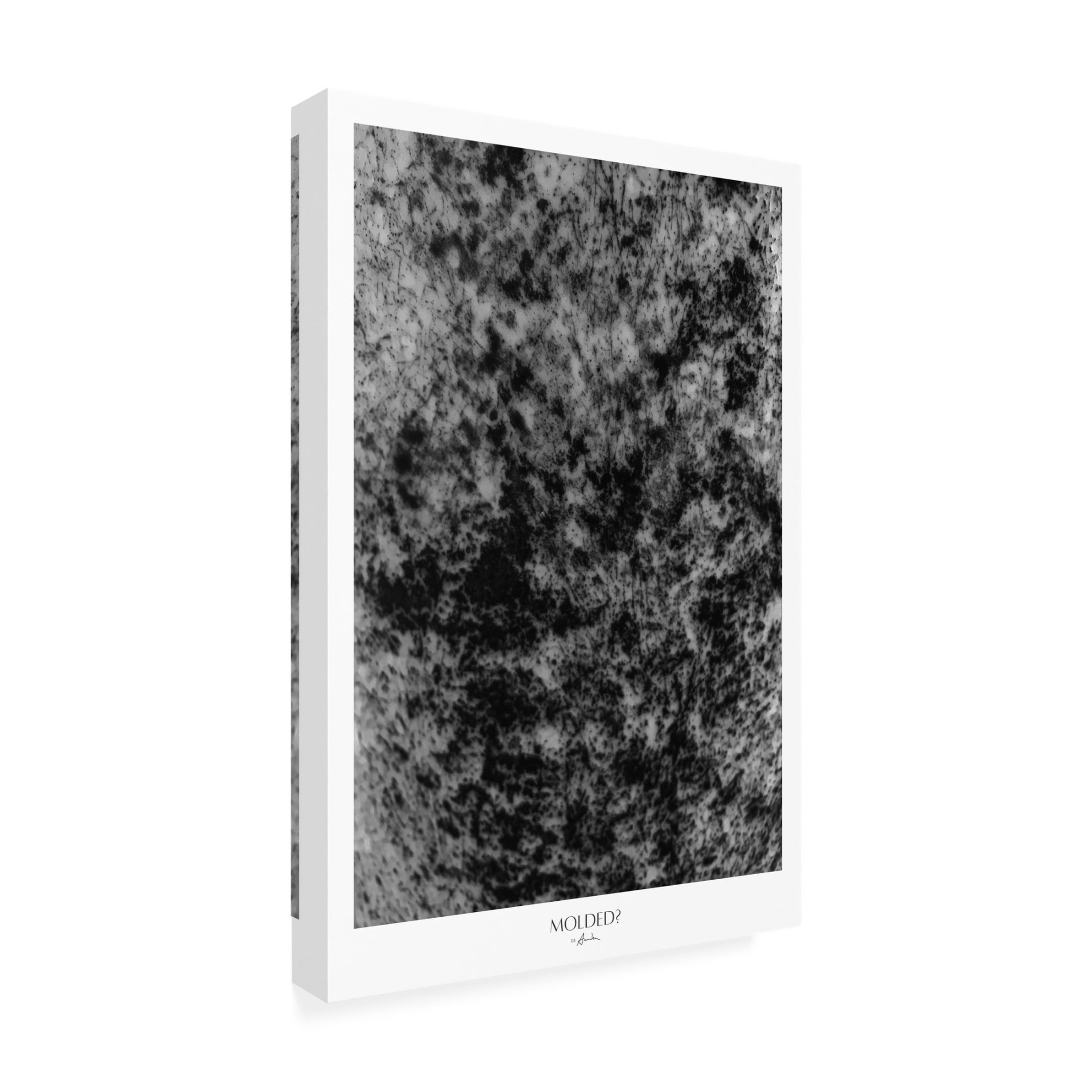 Trademark Fine Art Annika John Molded Canvas Wall Art