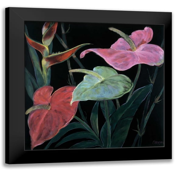 Hopper, Pegge 12x12 Black Modern Framed Museum Art Print Titled - In Bloom II