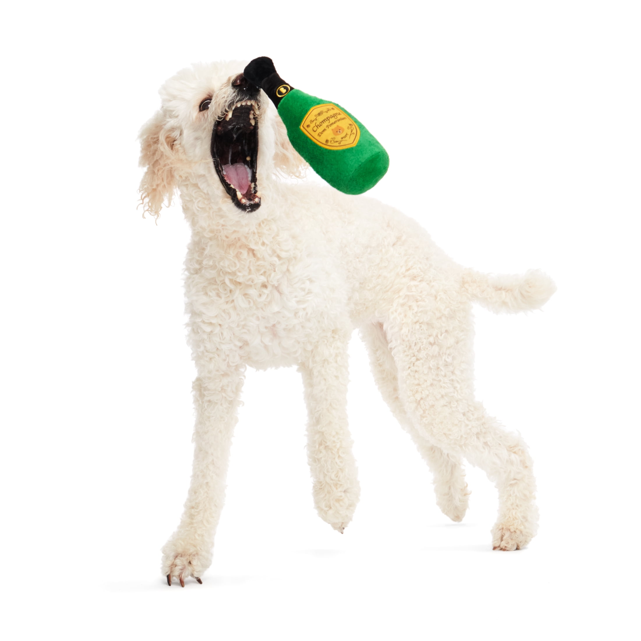 BARK Sparklin Chompagne Party Champagne Bottle Green Plush Dog Toy ALL