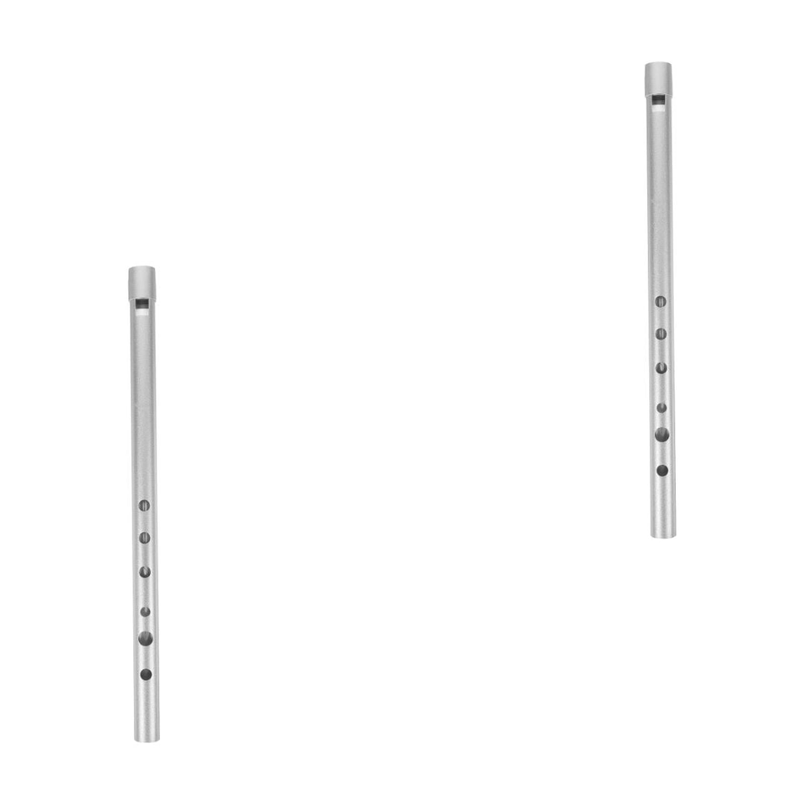 MLINS 2 pcs  Aluminium Alloy Clarinet Portable Recorder for Children Beginners (Silver)