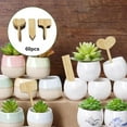 thumbnail image 3 of Etiquetas de plantas etiquetas de verduras en maceta jardín nota interior y exterior ornamento respetuoso medio - 60pcs 3 in 1 Mix H 60 piezas 3 en 1 Mix H shamjiam Etiqueta de plantas, 3 of 7