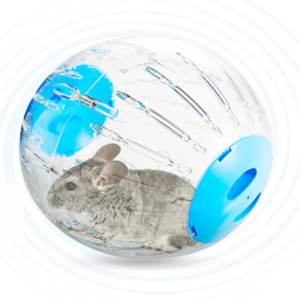 mice hamster