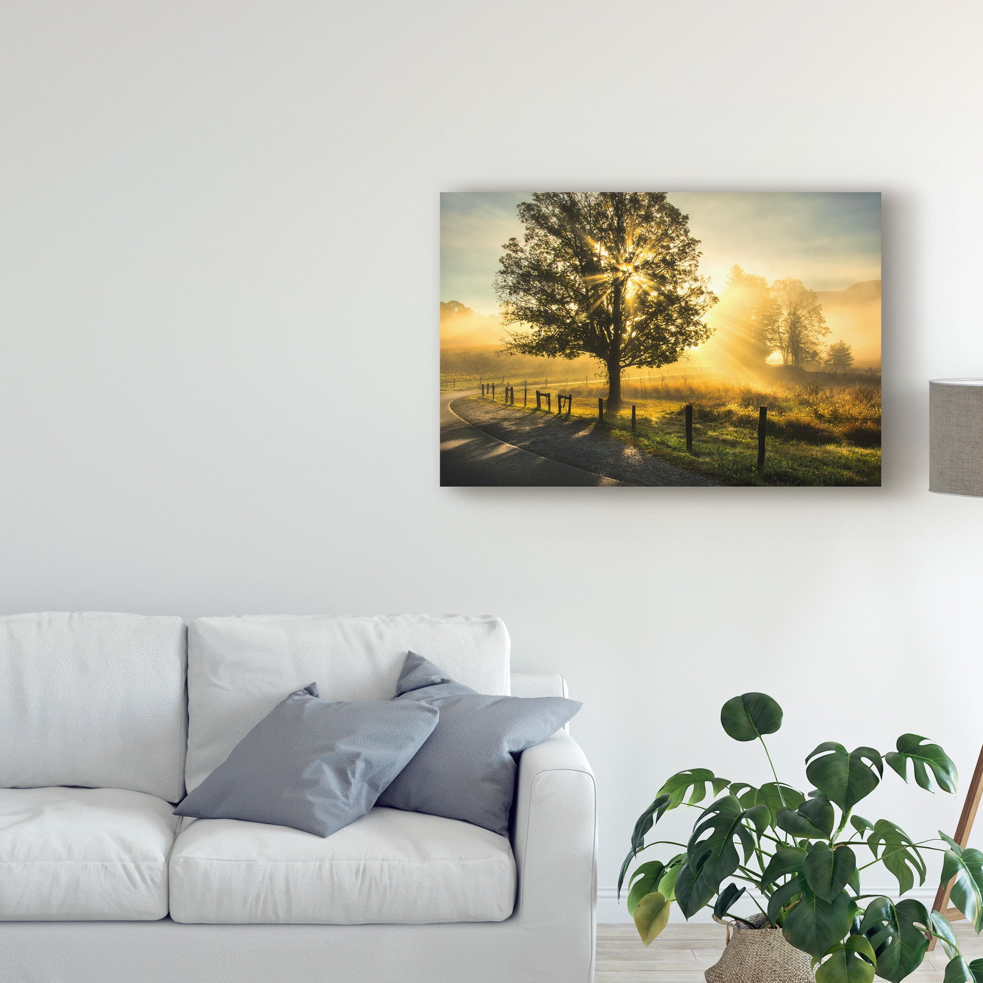 Trademark Fine Art 'Wake Up Call Country Road' Canvas Art by Danny Head
