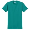 thumbnail image 2 of 2000 - Ultra Cotton® T-Shirt - Gildan - MF, 2 of 4