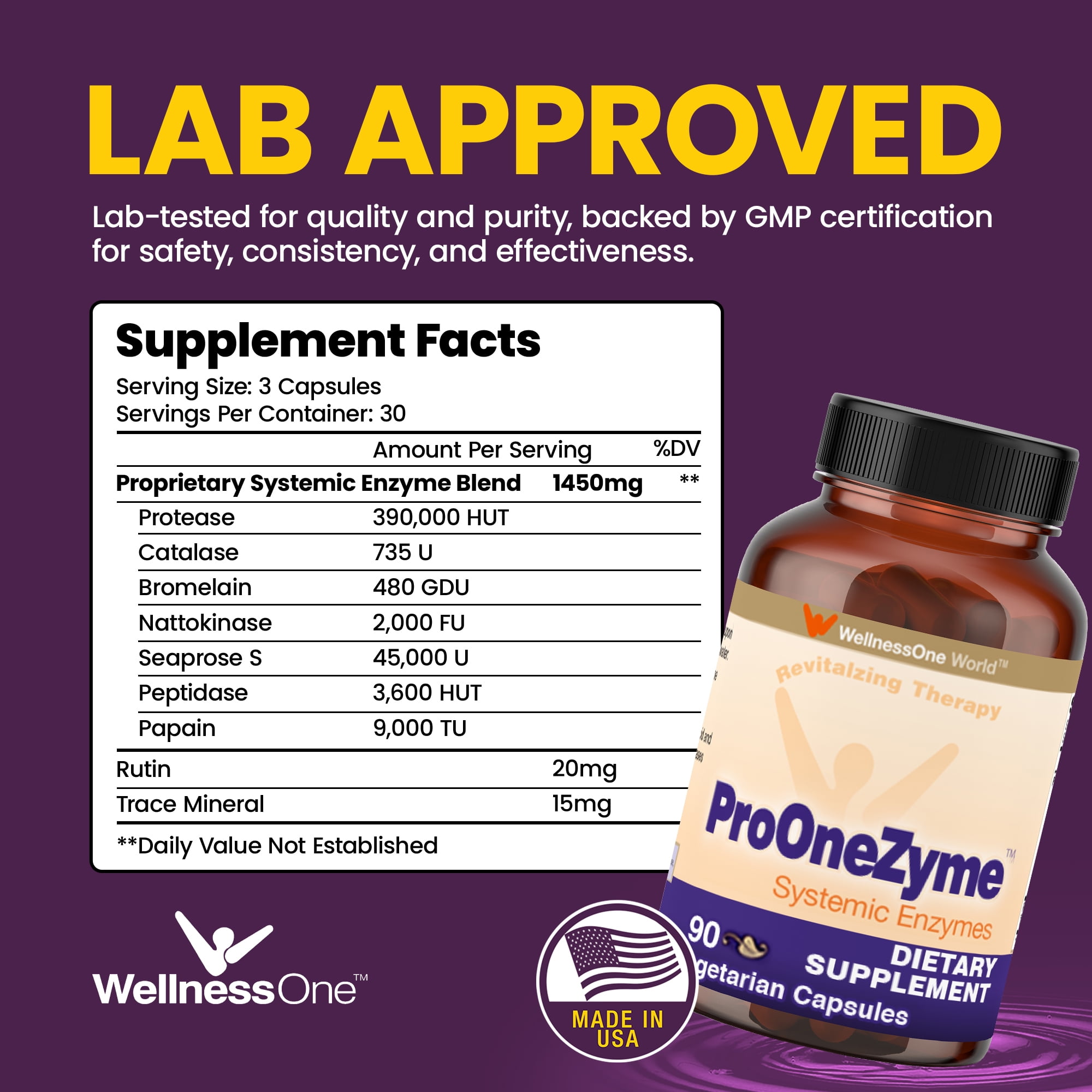 WellnessOne Pro-OneZyme Systemic Enzymes with Nattokinase and Bromelain - Proteolytic Enzymes, 90 Capsules
