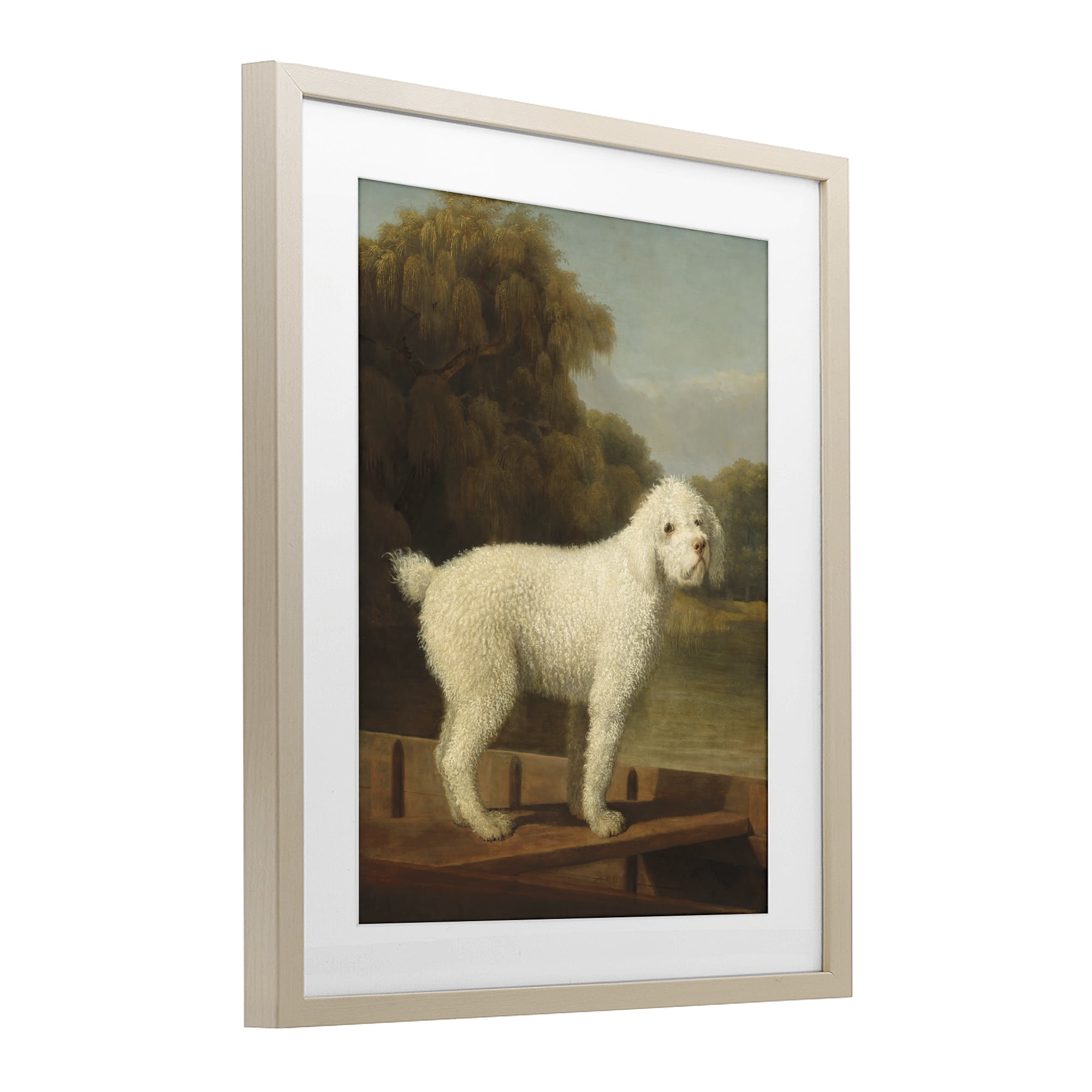 Stupell Industries White Poodle in a Punt Birch Framed Print Under Glass, design by Tina LeCour