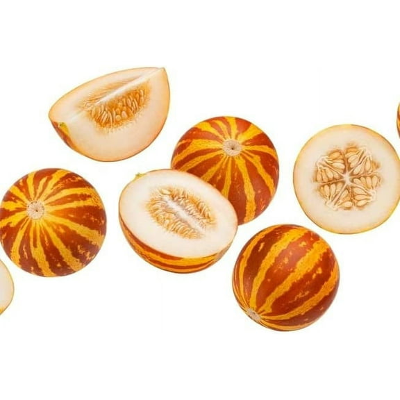 Pocket Melon Seeds for Planting - Grow Pocket Size Edible Melons - Made in USA, Ships from Iowa (20 Seeds)