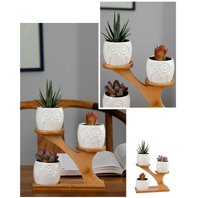 3pcs Owl Succulent Pots Flower Stand with 3 Tier Bamboo Saucers Stand Holder Home Office Desk Garden Mini Cactus Pot Indoor Decoration,White 3pcs Owl Succulent Pots Flower Stand with 3 Tier Bamboo Saucers Stand Holder Home Office Desk Garden Mini Cactus Pot Indoor Decoration,White