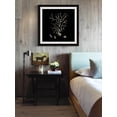 thumbnail image 6 of "Black & Tan Coral I" Framed Painting Print, 6 of 6
