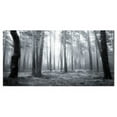 thumbnail image 3 of Design Art 'Black and White Foggy Forest' Photographic Print on Wrapped Canvas, 3 of 3