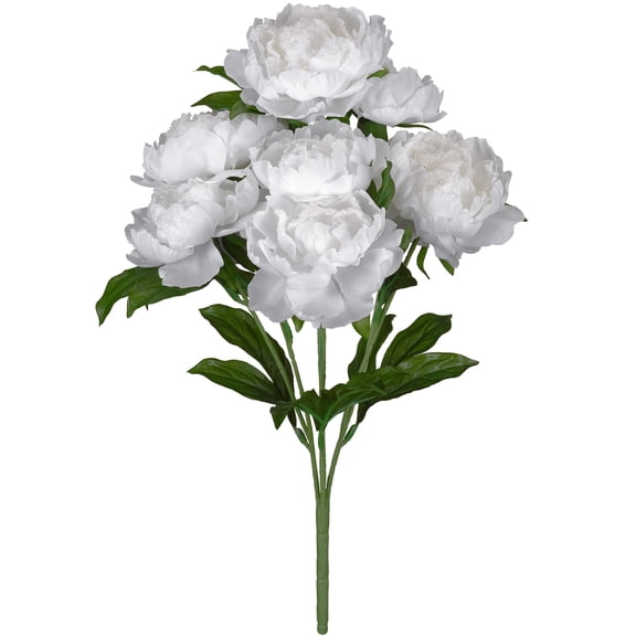 Peony Bush White 13 X 21 Inches