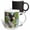 Multicolor, variant on 3drose, Crested Caracara Bird, Hidalgo County, S. Texas - Na02 Ldi0005 - Larry Ditto, 11oz Magic Transforming Mug