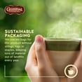 thumbnail image 4 of Celestial Seasonings Herbal Tea, Country Peach Passion 20 ea (Pack of 2), 4 of 4