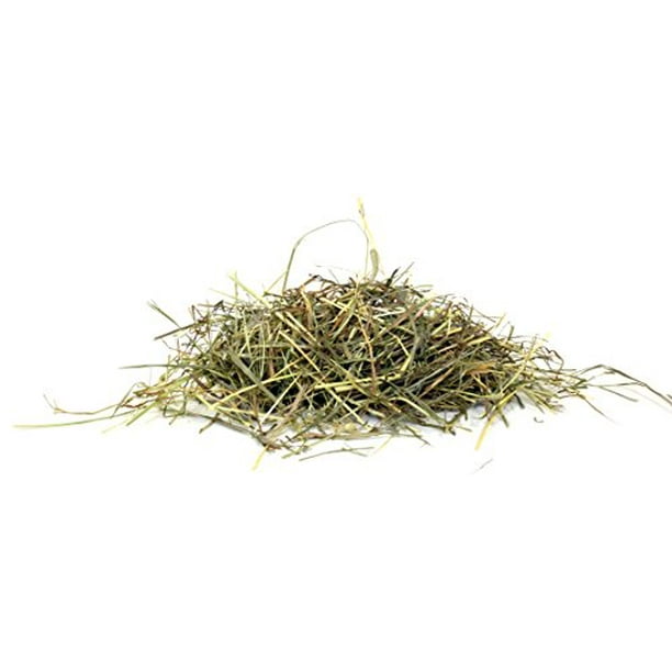 Bulk timothy hay for guinea clearance pigs