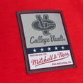 thumbnail image 5 of Men's Mitchell & Ness Red Texas Tech Red Raiders Legendary Slub Raglan Long Sleeve T-Shirt, 5 of 5
