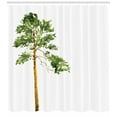 thumbnail image 3 of Ambesonne Tree Shower Curtain, Aquarelle Nature Sketch, 69"Wx75"L, Pale Coffee Fern Green, 3 of 3