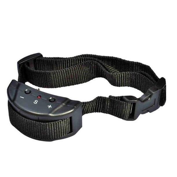 Bark hotsell buddy collar