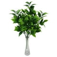 thumbnail image 4 of Artificial Plants Italian Branches,1Pcs 13" Tall Fake Greenery Filler Decor w/Stems, Realistic Texture Hanging Plant Decor for Wedding Bouquets/Table Centerpieces, Room/Office, 4 of 7
