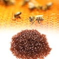 thumbnail image 4 of 1000PCS Beekeeping Queen Cell Beekeeping Queen Rearing Cell Cups Royal  Cups Beekeeper Equipment Tool Plastic Queen Breeding Base Beekeeping Farmer Tool, 4 of 8