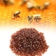 thumbnail image 4 of Celilla reina de apicultura de 1000 piezas inofensivas, Plásstico Alimentando la Celda de Reina Marrón, Abeja Celular para apicultura, 4 of 7