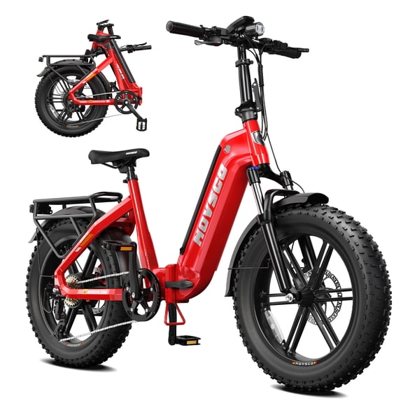 Folding Electric Bike for Adults (Age 18 ), 749W Motor, 48V 15Ah Battery, 20"x4.0 Fat Tire,27.9 MPH Max Speed(PAS Mode), Tested to UL2849 Standard by SGS