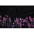 thumbnail image 2 of Villa, Mlli 14x11 White Modern Wood Framed Museum Art Print Titled - Flowers On The Ground, 2 of 4