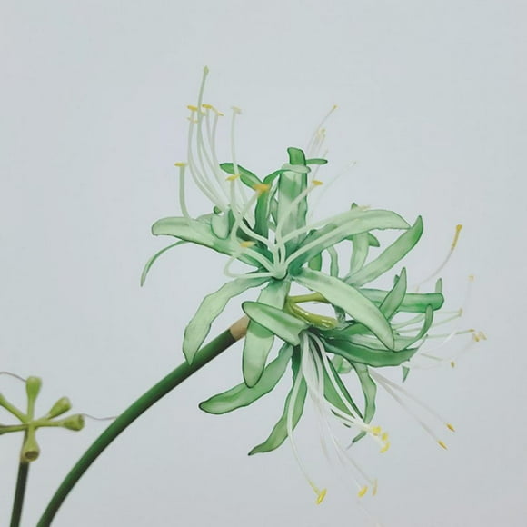 5 Pcs Spider Lilies Artificial Lycoris Bulbs With Long Stem Real Touch For Home Office Hotel Living Room Decoration