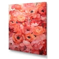 thumbnail image 2 of Designart "Radiant Beauty of Coral Ranunculus" Floral Canvas Wall Art - Traditional Coral Ranunculus Living Room Canvas Art, 2 of 6
