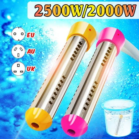 suspension immersion water heater for pool